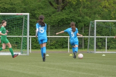 VFL Sindelfingen Ladies (D1) - VfL Hochdorf (05.05.2024)