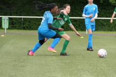 VFL Sindelfingen Ladies (D1) - VfL Hochdorf (05.05.2024)