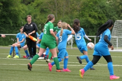 VFL Sindelfingen Ladies (D1) - VfL Hochdorf (05.05.2024)