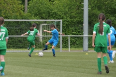 VFL Sindelfingen Ladies (D1) - VfL Hochdorf (05.05.2024)