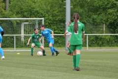 VFL Sindelfingen Ladies (D1) - VfL Hochdorf (05.05.2024)