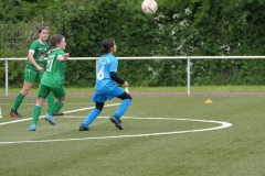 VFL Sindelfingen Ladies (D1) - VfL Hochdorf (05.05.2024)