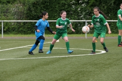 VFL Sindelfingen Ladies (D1) - VfL Hochdorf (05.05.2024)