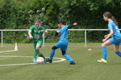 VFL Sindelfingen Ladies (D1) - VfL Hochdorf (05.05.2024)