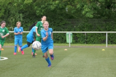 VFL Sindelfingen Ladies (D1) - VfL Hochdorf (05.05.2024)