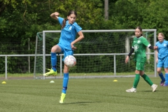 VFL Sindelfingen Ladies (D1) - VfL Hochdorf (05.05.2024)