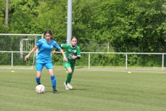 VFL Sindelfingen Ladies (D1) - VfL Hochdorf (05.05.2024)