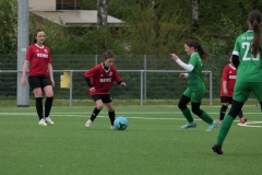 VfL Sindelfingen Ladies (D2) - VfL Hochdorf (20.04.2024)