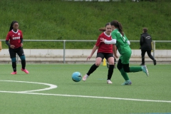 VfL Sindelfingen Ladies (D2) - VfL Hochdorf (20.04.2024)