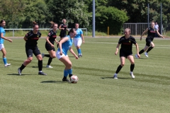 VfL Sindelfingen Ladies (F) - FV 08 Rottweil (11.06.2023)