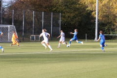 VfL Sindelfingen Ladies (F) - FV 09 Nürtingen (19.11.2023)