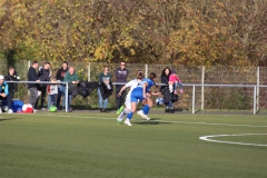 VfL Sindelfingen Ladies (F) - FV 09 Nürtingen (19.11.2023)