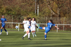 VfL Sindelfingen Ladies (F) - FV 09 Nürtingen (19.11.2023)