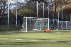 VfL Sindelfingen Ladies (F) - FV 09 Nürtingen (19.11.2023)