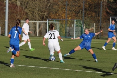 VfL Sindelfingen Ladies (F) - FV 09 Nürtingen (19.11.2023)