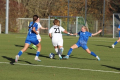 VfL Sindelfingen Ladies (F) - FV 09 Nürtingen (19.11.2023)