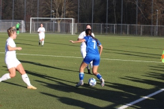 VfL Sindelfingen Ladies (F) - FV 09 Nürtingen (19.11.2023)