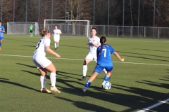 VfL Sindelfingen Ladies (F) - FV 09 Nürtingen (19.11.2023)