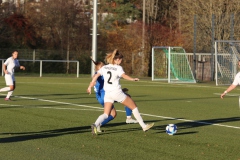 VfL Sindelfingen Ladies (F) - FV 09 Nürtingen (19.11.2023)