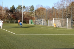 VfL Sindelfingen Ladies (F) - FV 09 Nürtingen (19.11.2023)