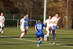 VfL Sindelfingen Ladies (F) - FV 09 Nürtingen (19.11.2023)