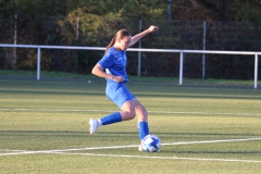 VfL Sindelfingen Ladies (F) - FV 09 Nürtingen (19.11.2023)