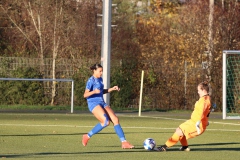 VfL Sindelfingen Ladies (F) - FV 09 Nürtingen (19.11.2023)