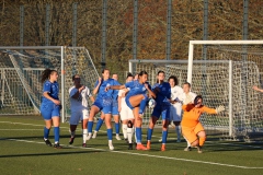 VfL Sindelfingen Ladies (F) - FV 09 Nürtingen (19.11.2023)