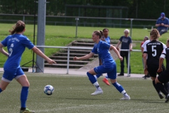 VfL Sindelfingen Ladies (F) - SpVgg Gröningen Satteldorf (14.04.2024)