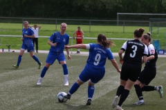 VfL Sindelfingen Ladies (F) - SpVgg Gröningen Satteldorf (14.04.2024)