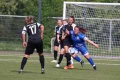 VfL Sindelfingen Ladies (F) - SpVgg Gröningen Satteldorf (14.04.2024)