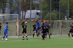 VfL Sindelfingen Ladies (F) - TSV Münchingen (28.04.2024)