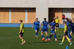 VfL Sindelfingen Ladies (F1) - FV 08 Rottweil (27.10.2024)