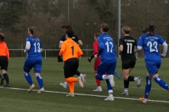 VfL Sindelfingen Ladies (F1) - SV Jungingen (17.03.2024)